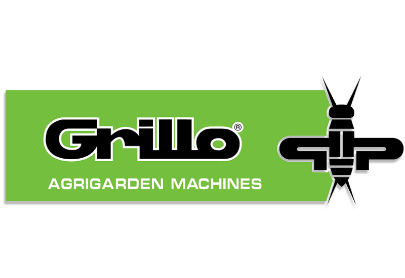 Grillo